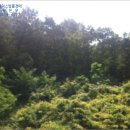 송해면-3 이미지