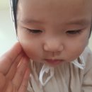 하이얀피부샵 이미지