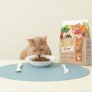 주식회사 하나솔루션 이미지