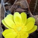 원일초등학교 이미지