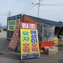 신촌민박슈퍼 | 5월 연휴 여행 계획 | 고흥 여행지원금 신청 완료! 붉바리 배낚시 & 로컬 맛집 프리뷰 🎣