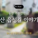 읍성길 | 600년 전 백성들이 쌓은 그 자리에 서다, ‘울산 읍성길 이야기로’ 산책 후기