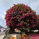 성화농장 | 재미난 제주여행 1일차