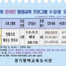 경기평택교육도서관 2020년 하반기 초등역사 프로그램 안내 이미지