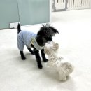 이매역3번출구 이미지