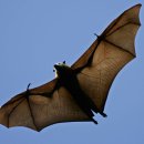 만수2동어린이도서관 이미지