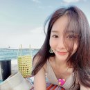 씨씨즈속눈썹 이미지