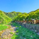 남원백두대간국민여가캠핑장 | 전북 가볼만한곳 가을 캠핑 스팟 베스트5, 고요한 자연 속 가을 낭만