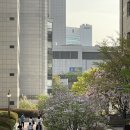 합성양곱창센터 (주)아우룸 | 4월은 늦봄인가 초여름인가