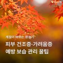 환절기 피부 건조증·가려움증 예방 보습 관리 꿀팁 이미지
