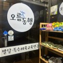 신안초등학교 | 아이 발달 고민 오름동행 발달특수체육교육 연구소 김해점 방문 후기