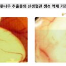 강남푸른숲한방병원 이미지