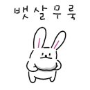 씨더메종 이미지