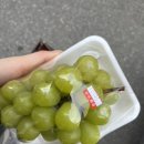 새럭키약국 이미지