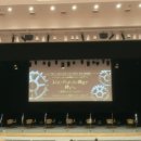 치루바코 14th 레이디 앤더슨 상회의 신사들 낮부 관극 후기 ✩◝ ^ ̳⩌ ̫ ⩌ ̳^