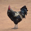 청담약손한의원 이미지