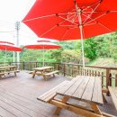 횡성 산울림오토캠핑장 이미지