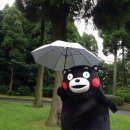 하한 이미지