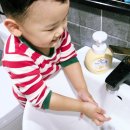 우리는 꼬마 요리사 | 풀무원 토이쿠키 만들기 아이랑 집콕놀이 추천 쿠키 만들기 키트 후기