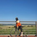 신왕리 쉼터 | 평택라이딩 20km 30km 40km 자전거길 추천 + 맛집 카페 추천