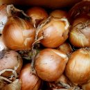 먹방농장1 이미지