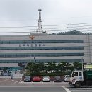 덕진-66 이미지