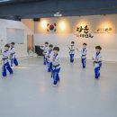 다온 태권도 이미지