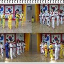 K 용인대태권도 네이버블로그