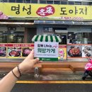 명성도야지 이미지