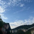 초도교