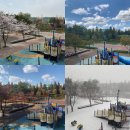 SSMA상승 10도장 이미지