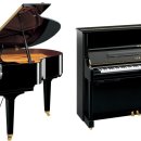 ㈜다채로움 이미지