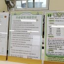 꼬숩당개 이미지