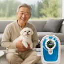 메디세이프 | 의료용 산소발생기 가정용 산소호흡기 오투메디 사용 후기 - 가격과 성능 분석