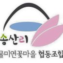 물미연꽃마을 Daum카페