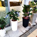 얌샘김밥 부산연산점 이미지