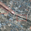 금산인삼건강원건강떡집 | 2023 경북 영주 풍기인삼축제 인삼 구매 후기 및 주차장 정보