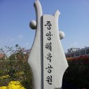 전북 익산 가을 국화꽃 축제 이미지