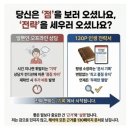 맵스콘텐츠디자인연구소 | 명리마스터사주연구소 온라인사주 솔직 후기, 신년운세까지 한 번에