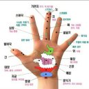 수지침 Daum카페