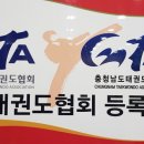용인대 제일태권도 이미지
