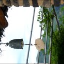 구토란
