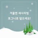 포그니이불