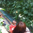 지니어스숲어린이집 이미지