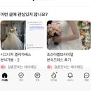 연아빌딩 | 시그니처엘리자베스 본식 가봉 신상 후기, 추가금 (비즈,실크,레이스)