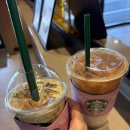 신흥전자 | 스타벅스 실리콘 푸드백 세트 내돈내산 후기 / 바삭 피스타치오 콜드브루 솔직리뷰 (대전 신흥역DT점)