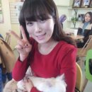 쁘니애견 이미지