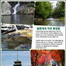 가야산관광펜션 이미지