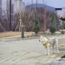 부영공원(월산근린공원) 이미지