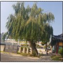 욕은지 | 인천 계양구 부평 도호부 관아 방문 후기